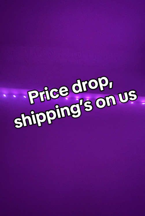 This price is wild + free ship 🚀#ledstriplights #rgblights #smartledlights #roomdecor #LED #ledlight #coolledlights #tiktokshop 