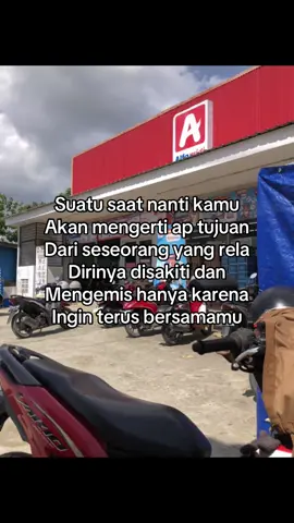 #fypシ゚ #follow🍄💕🐻 