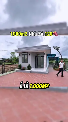 LH (O-988//5O//3O32) #reviewbds #batdongsan #datnengiare #datbinhduong #datbinhphuoc 