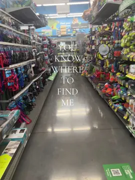 #dogstore #petstore #petsupplies #fyppp #fypシ゚viral 