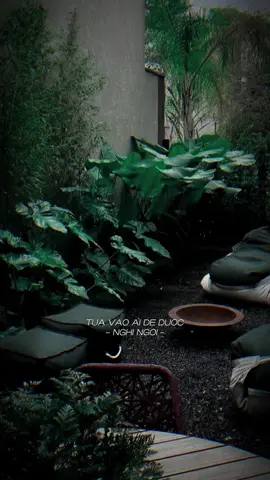 Tựa vào ai để được nghỉ ngơi #capcut #capcutvelocity #pioneertemplate #buoichill☀️ #caubuoi  