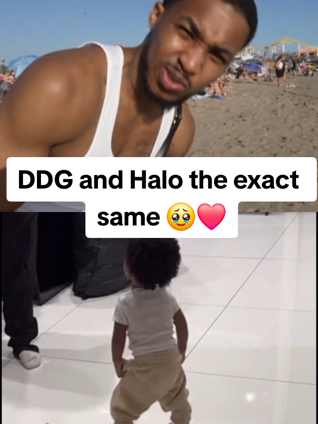 #ddg #Halo #father #fatherson #ddghalo #twitch #twitchclips #fyp #viral 
