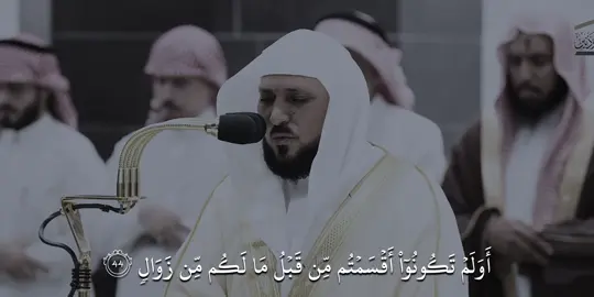 ماهر المعيقلي سورة إبراهيم 🥹 #ماهر_المعيقلي #quran #قرآن #saadolla_hagag #قران_كريم 