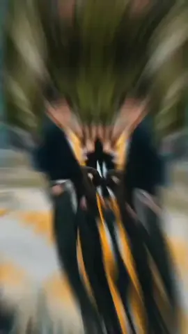 💚 Kim taehyung 💚