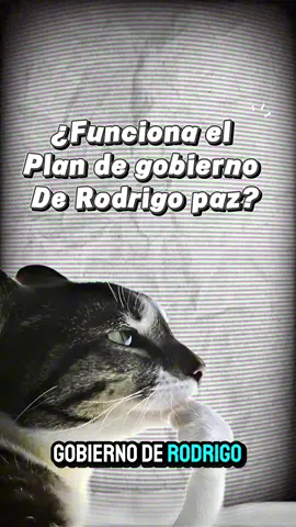Te lo explico☝️🤓 #fyp  #gobierno #elecciones #bolivia🇧🇴 