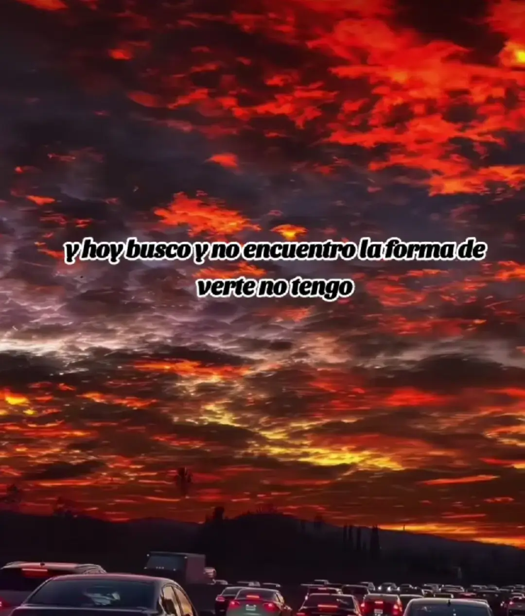 #mueroporverla #luismateus #vallenato 🪗 #viral_video #sentimientos 🇨🇴🥃