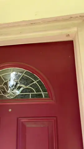 Bugs are all over the front 😬 #bugmd #bugspray #insectspray #naturalbugspray 