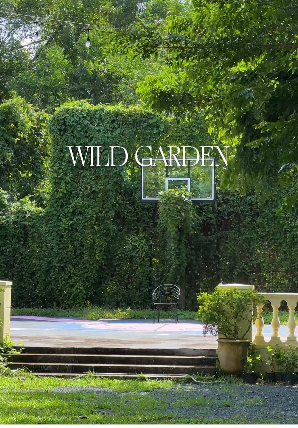 WILD GARDEN 🧚 📍63/6 KDC Hậu Thạnh Mỹ, Cái Răng  #cafe #coffee #cantho #reviewcafe #cafechupanh   