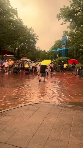 My friend works at Disney and said it has never flooded in this spot! #disney #disneyworld #epcot #epcotdrinkingaroundtheworld  