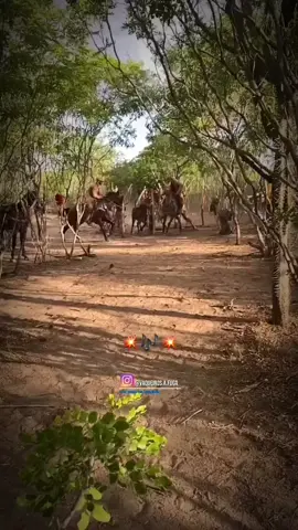 Ehh canção 💥#foryou #culturadogibao #pegadeboi🐃🐴🐴💥 #vaqueirosergipano #fyppppppppppppppppppppppp 