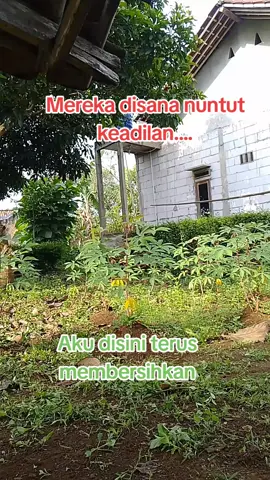 Supaya mereka tidak tertarik..... jangan sampai rumput menghijau di kebun kita.... 😁😁😁