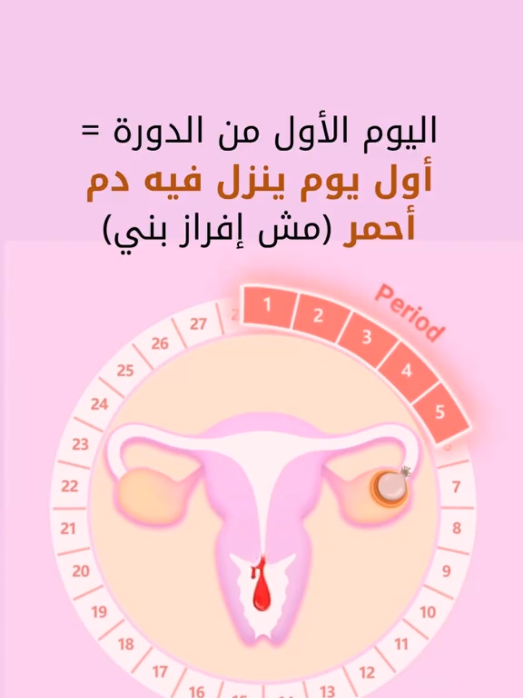 ✨ يعني باختصار: احسبي طول دورتك. شوفي اليوم اللي مكتوب في العمود التاني (ده يوم التبويض). نافذة الخصوبة هي الأيام اللي قبله بيومين وبعده بيوم (العمود التالت) 📊 جدول حساب أيام التبويض والخصوبة (للدورة 28–32 يوم) طول الدورة (يوم)	يوم التبويض المتوقع	نافذة الخصوبة (من – إلى) 28 يوم	يوم 14	يوم 12 → يوم 16 29 يوم	يوم 15	يوم 13 → يوم 17 30 يوم	يوم 16	يوم 14 → يوم 18 31 يوم	يوم 17	يوم 15 → يوم 19 32 يوم	يوم 18	يوم 16 → يوم 20 #fertility #pregnancy #fyp #الحمل #كاب_كات @Tahreer Wajdi | تـحريـر @Tahreer Wajdi | تـحريـر @Tahreer Wajdi | تـحريـر 
