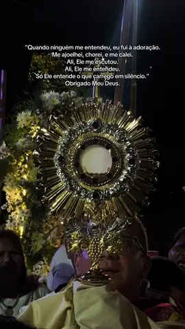 Obrigada, Meu Deus! ❤️‍🔥❤️‍🩹 #adoração #santissimosacramento #catolico 