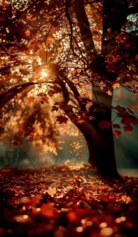 #andrescalamaro #flaca #parati #fypシ゚ #lirycs_music 