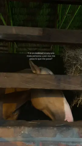 Jajabaja lol#paratiiiiiiiiiiiiiiiiiiiiiiiiiiiiiii #viral #foryoupage #fypシ #greenscreen 