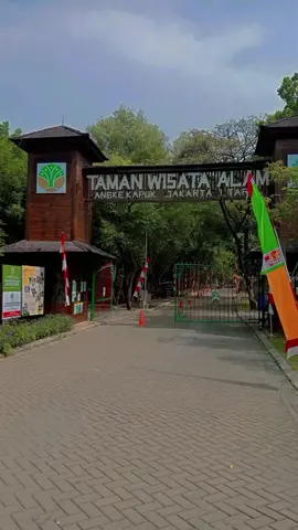 Taman wisata Alam mangrouv Angke kapuk bagus buat jalan2 menikmati rindangnya hutan Mangrouv #Mainserudulu #destinasiwisatajkt #tiktokviral 