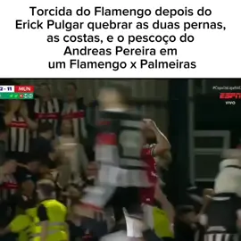 ERICK PULGAR IDOLO! | ib: esqueci • #edit #viral #fyp #mulherdepreso🔓🕊👫💍 #flamengo 
