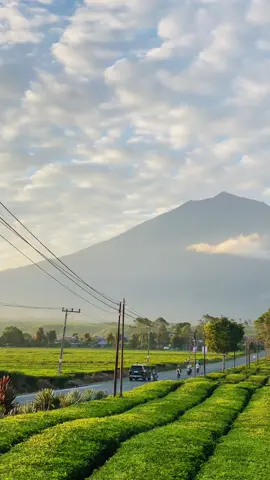 Kerinci⛰️🍃#gunungkerinci3805mdpl #kayuarokerinci 
