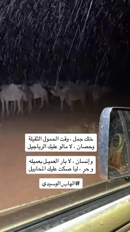 #شعراء_وذواقين_الشعر_الشعبي 