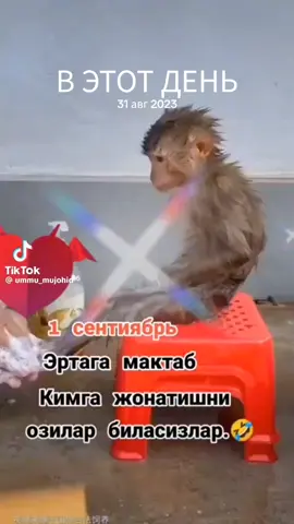 #ВэтотДень