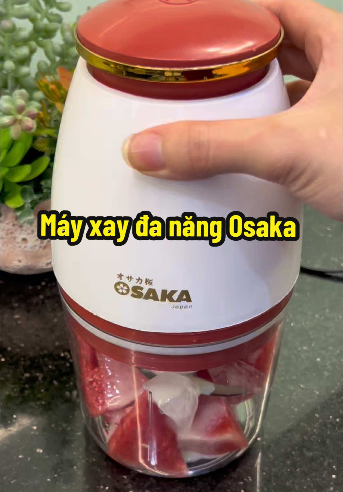 ☘️ Rẻ lại Tiện thật . Xay gì cũng nhanh trong 1 nốt nhạc. Máy xay đa năng osaka là chân ái #viral #LearnOnTikTok #mayxaydanang #mayxayosaka#mayxxaythit 