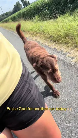 Comparison is everywhere in our world, but your biggest competition is YOU. 💪🏼 We don’t chase perfection, we show up to grow, and we do it all in God’s glory.  Every run, every workout, every high and every low is a chance to thank God. He wants to hear from us in the good and the hard—because He’s working through it all. 🙏🏼 Let’s stop competing with others and start running our race with Jesus. 💪🏼🏃🏼‍♀️ #faithfuelfitness #christianpersonaltrainer #ChristCenteredFitness #FitMomOfFaith #GodCenteredHealth 