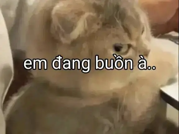 #xuhuong  em đang buồn à:)... 