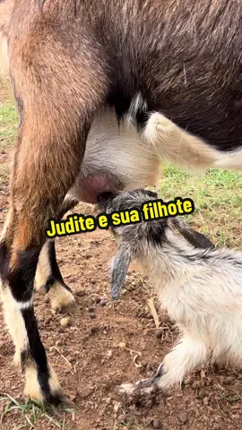 Judite e sua filhotinha 😍
