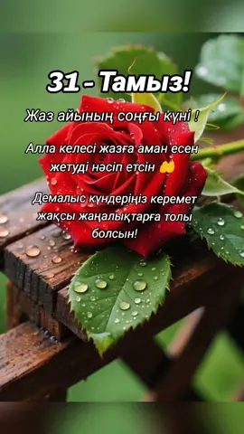 #31 #тамыз #қайырлы #таң 