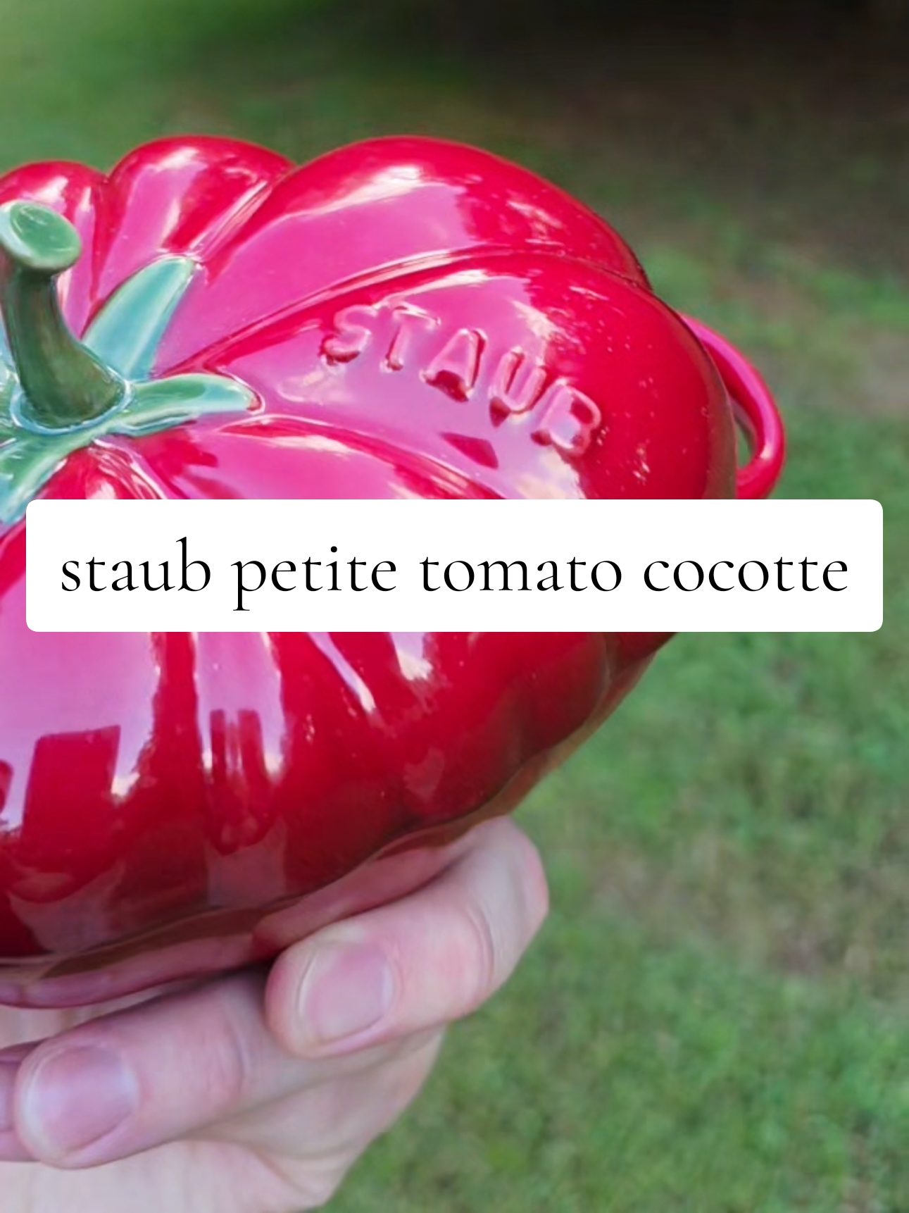 this cutie petite tomato cocotte is on sale so don't miss out! @STAUB USA  #staub #cocotte #tomato #kitchenmusthaves #cookware 
