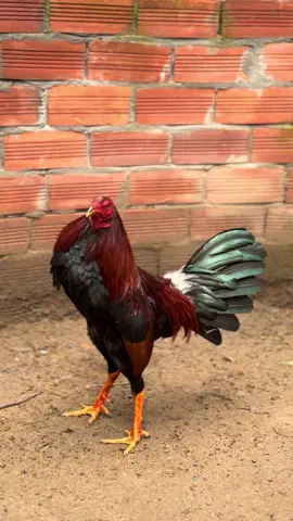 Đẹp trai còn khá giỏi😋@Tuấn Khải - NTK 