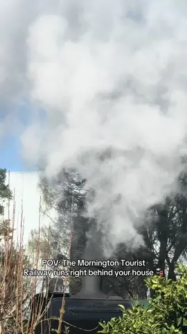 I love the sound of a steam train 🚂 #steamtrains #trainsoftiktok #morningtontouristrailway #morningtonpeninsula 