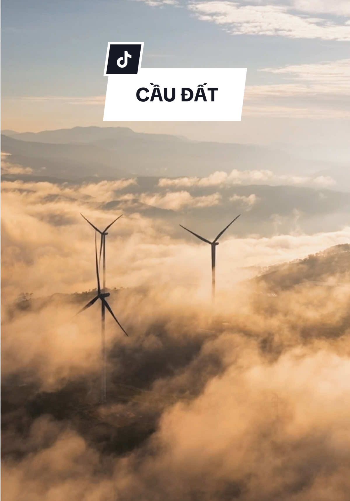 Mây ở đồi chè Cầu Đất. #SanMay #CauDat #DaLat #XuHuong #fypシ゚ 