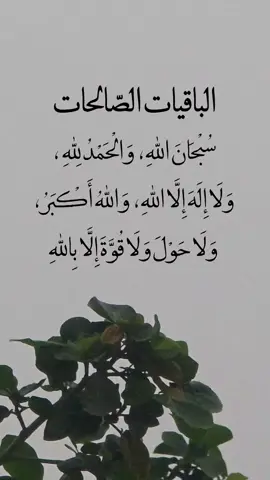 #الباقيات_الصالحات_خير_وأبقى #سبحان_الله_والحمدلله_ولا_إله_إلا_الله_والله_اكبر #استغفرالله_العظيم_واتوب_اليه #لاحول_ولا_قوة_الا_بالله #اللهم_صل_وسلم_على_نبينا_محمد 