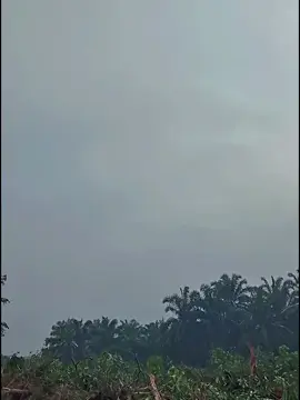 #opratorindonesiaclub🇮🇩🇮🇩 #opratorindonesiaclub💫 #fyp #