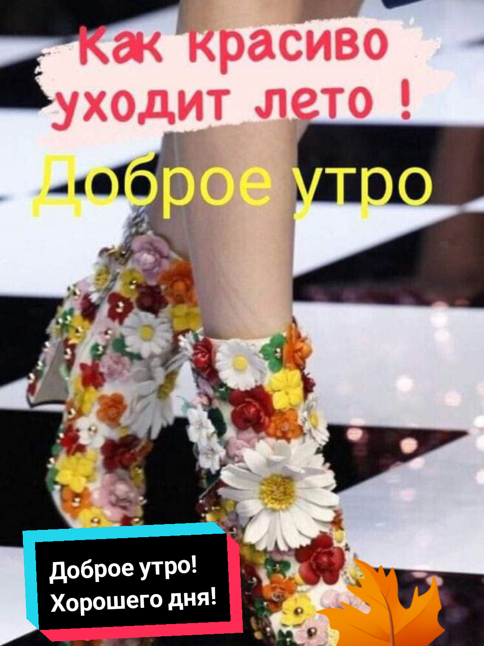 #доброеутро#хорошегодня#хорошегонастроения🥰 🌺🌺🌺#счастьялюбвидобра#тикток 