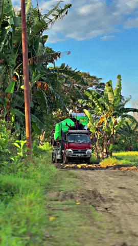 #mapparani975#rajapadi👑👑🌾🌾 #yanmar70vw #foryoupage #pyfツ #berandatiktok #fypdongggggggg 