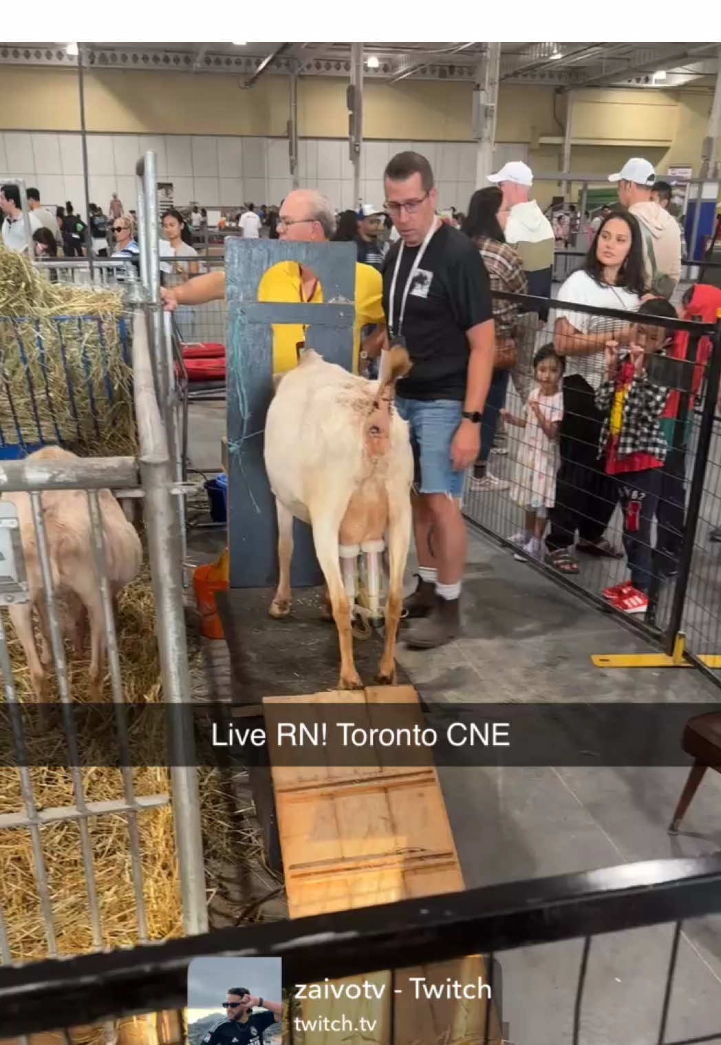 W stream today 😭 #cne #toronto #irlstreaming #funny #zaivo 