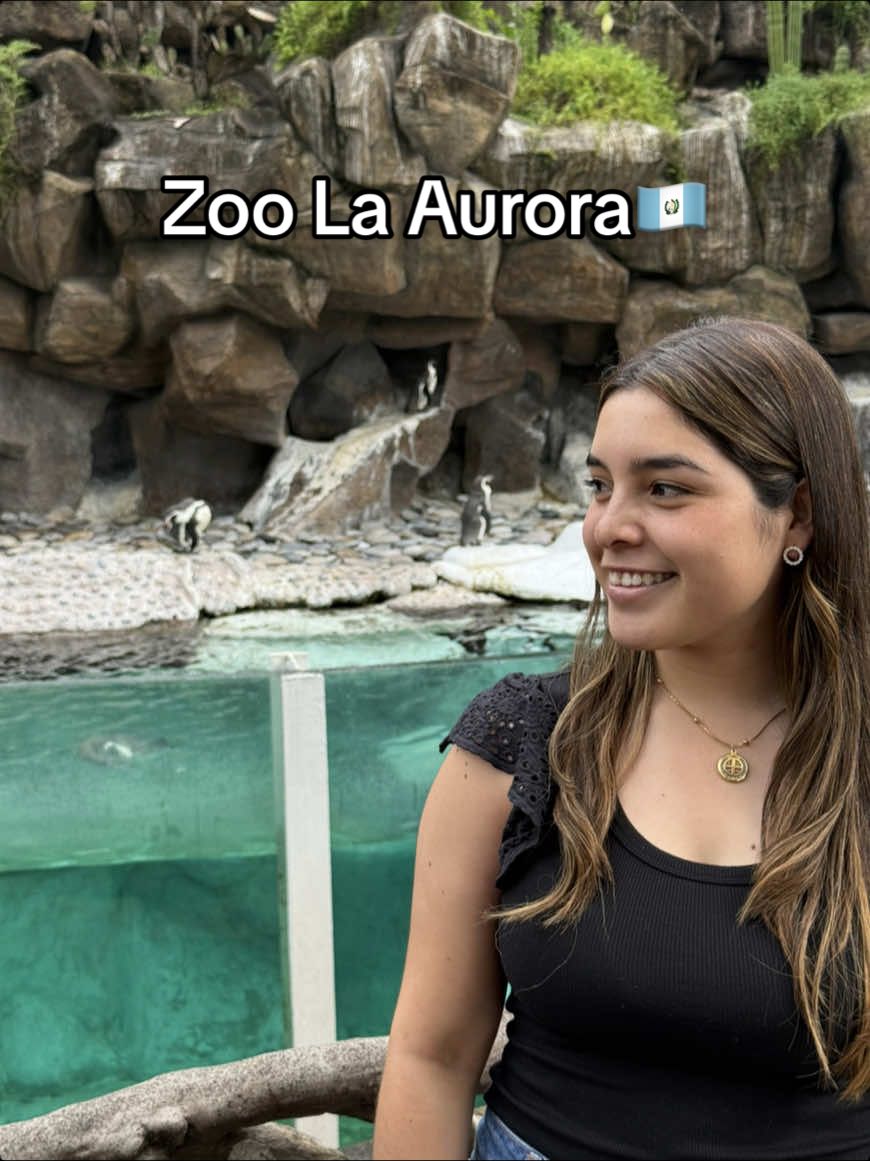 Zoológico La Aurora en Guatemala 🇬🇹🦁   #zoo #guatemala #LaAurora 
