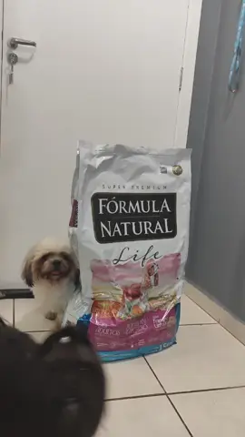 Chegou comidinha nova por aqui, será que é boa mesmo? Alguém por aí já comeu? Vamos testar. #shihstzu #racaodecachorro #racaoshihtzu #formulanatural #formulanaturallife 