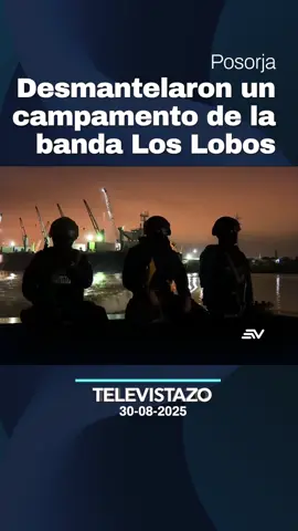 🔴 En exclusiva, un equipo de #Televistazo ingresó a un campamento de narcotraficantes levantado en pleno Golfo de #Guayaquil. La estructura contaba con cinco trincheras y hasta un agujero secreto para almacenar la droga. 📌 Desde allí, los criminales vigilaban el paso de los buques mercantes frente al puerto de Posorja, según información militar. @merlynochoatv con el impactante hallazgo. 💻