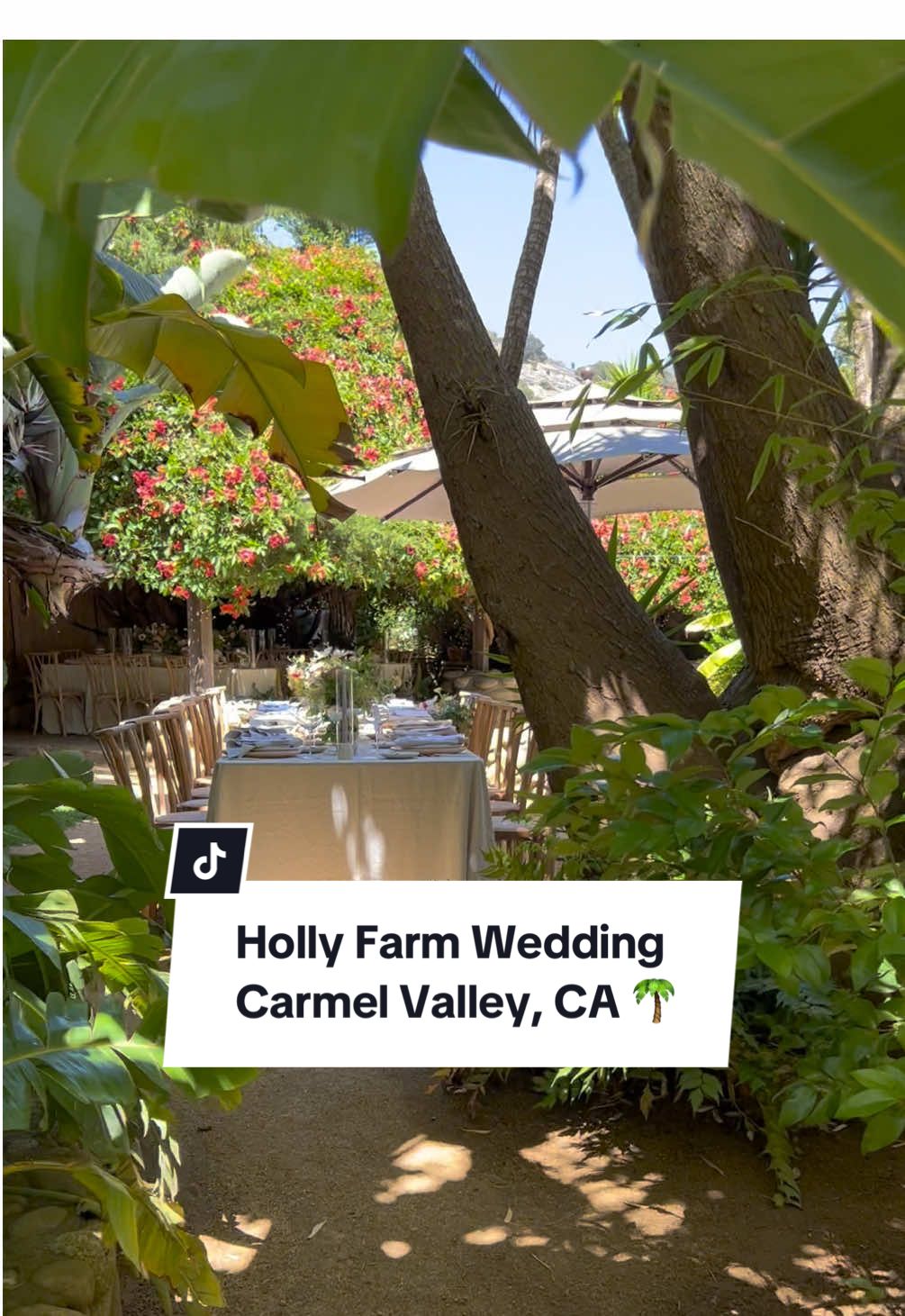 I still dream about this wedding at Holly Farm in Carmel, CA. There’s no place like it!! ✨ #hollyfarmwedding #carmelbythesea #carmelcalifornia #carmelweddingplanner #carmelvalley 