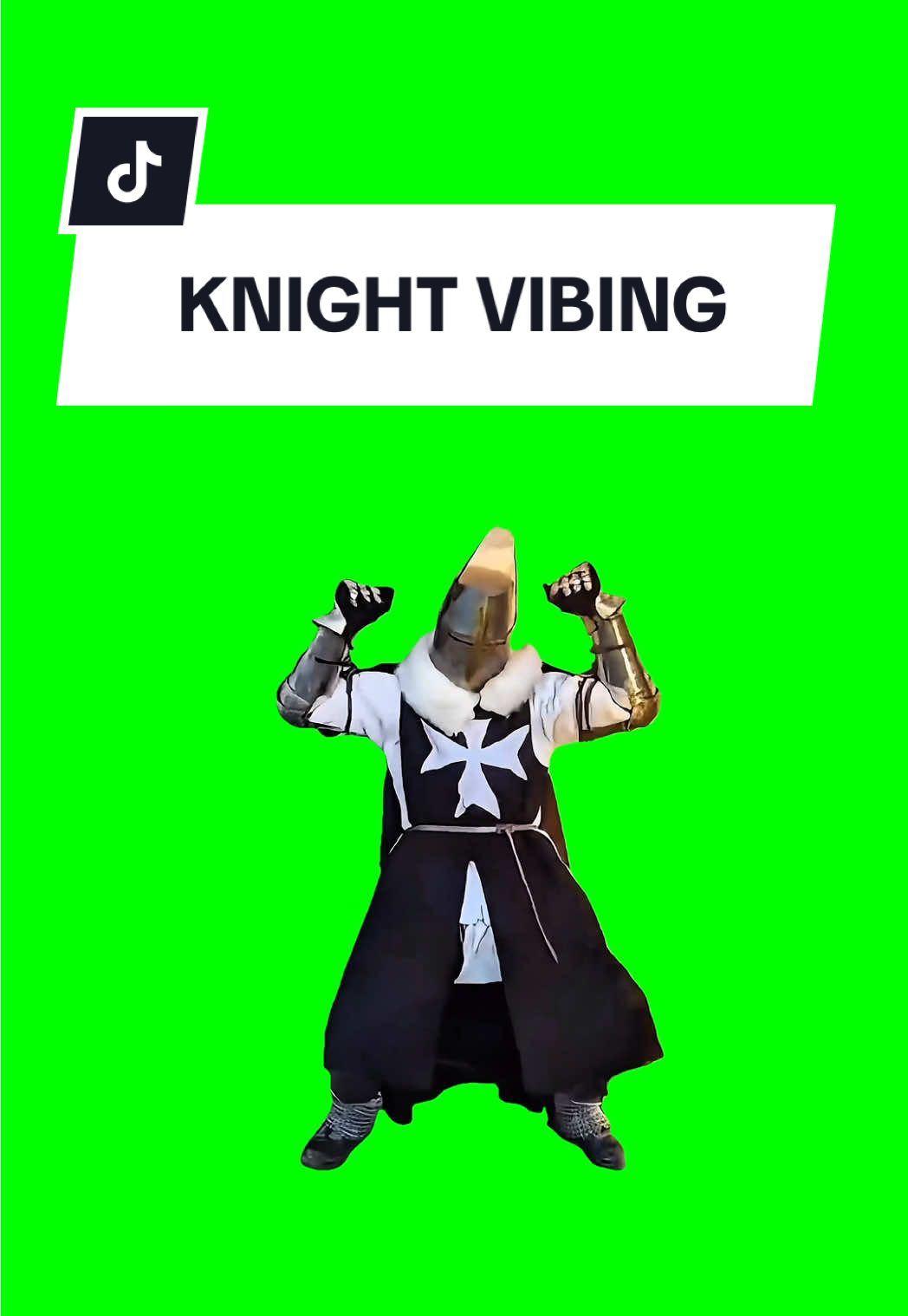 #CapCut KNIGHT VIBING #meme #greenscreen #fyp #viral 