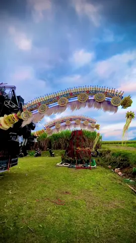 2025 adu penjor!🤪 #karnavalsenggreng2025 #penjorbalap #penjorgalungan #malanghoreg #fyp 