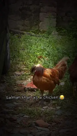 tere nam #😂😂😂 #fyp #foryoupage #salmankhan #terenaam 