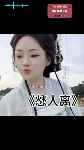 Ly nhân sầu ll  Đại Thần Tuệ #nhactrungquoc #nhachaymoingay #douyincover #nhactrung #xuhuong #douyinmusic #covers #vietsub #lyric