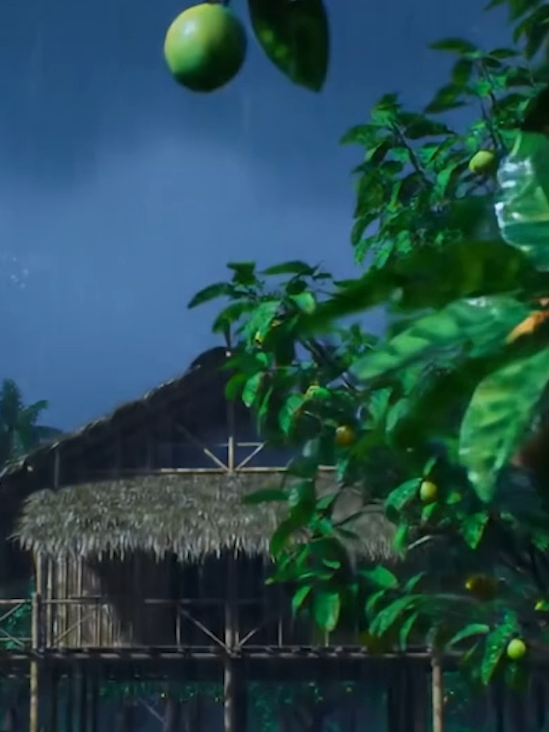 #calm #scenery #relaxing #feelings #night