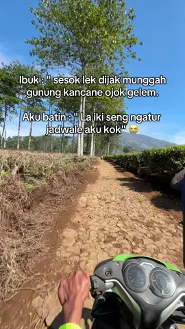 #pendakigunung #pendaki #pendakifomo #lincing1860mdpl 