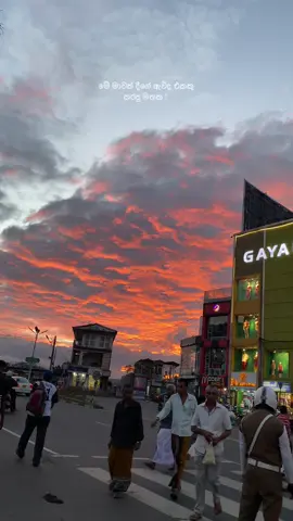 🥺❤️#bandarwela #srilankanvibes #fyp #sinhalasong #trending 