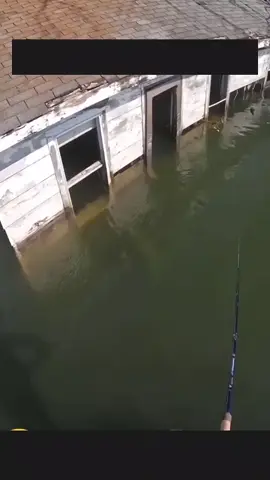 spot asik atau angker ?? #story #mancing #fishing 